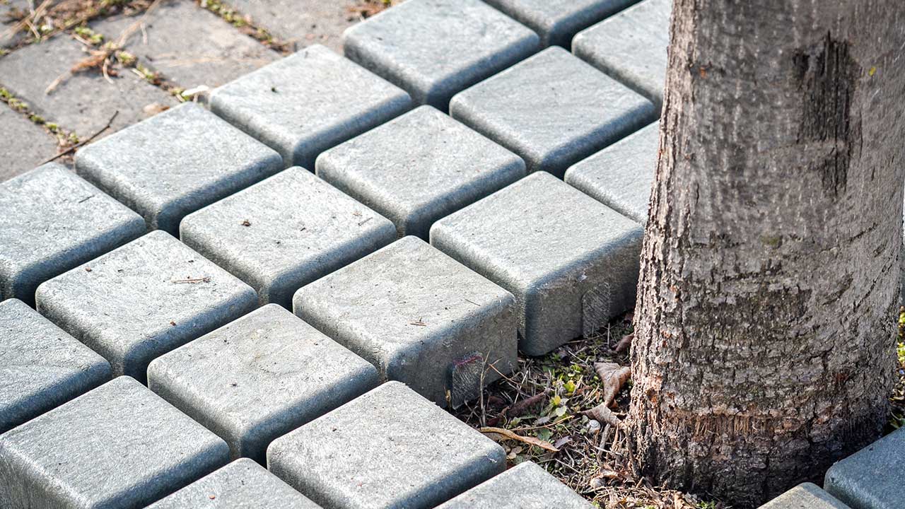 FAQ : Comment adapter la Grille d'arbre à votre projet en quelques minutes ?